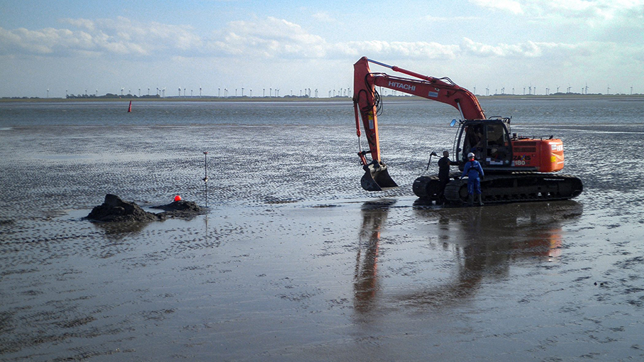 Kampfmittelsondierung TenneT Offshore, Niedersächsisches Wattenmeer